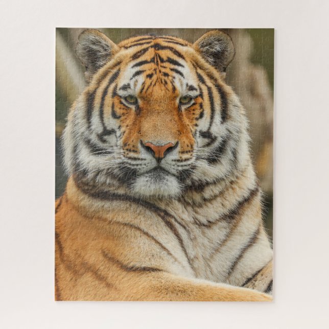 BENGAL-TIGER-PUZZEL PUZZLE (Vertikal)