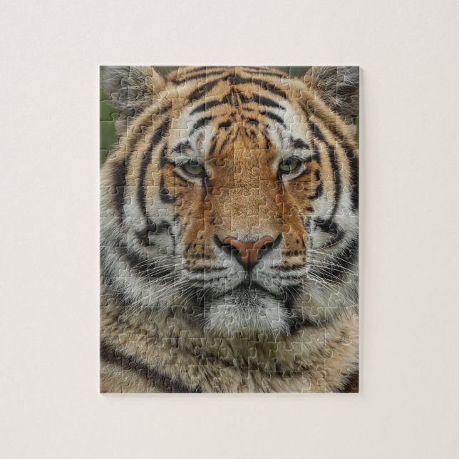 Bengal-Tiger-Puzzle Puzzle (Vertikal)