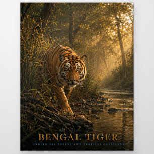 Bengal Tiger Sal Wald TIERE Postkarte