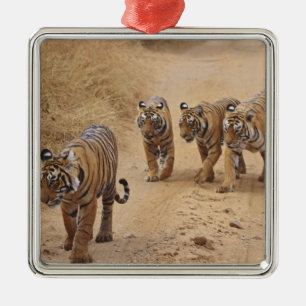 Bengal-Tiger Silbernes Ornament