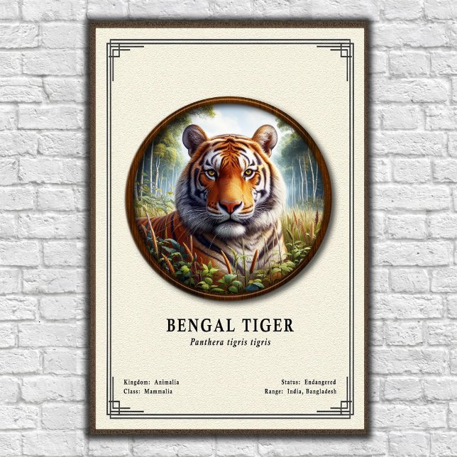 Bengal Tiger Zoologie-Serie Poster (Von Creator hochgeladen)