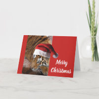 Bengalisch Tiger anta Claus