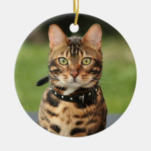 Bengalisch Tiger Cat Keramik Ornament