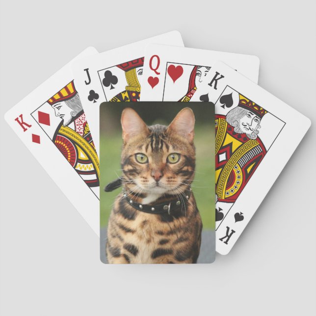 Bengalisch Tiger Cat Spielkarten (Rückseite)