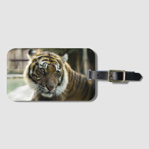Bengalisch Tiger Gepäckanhänger