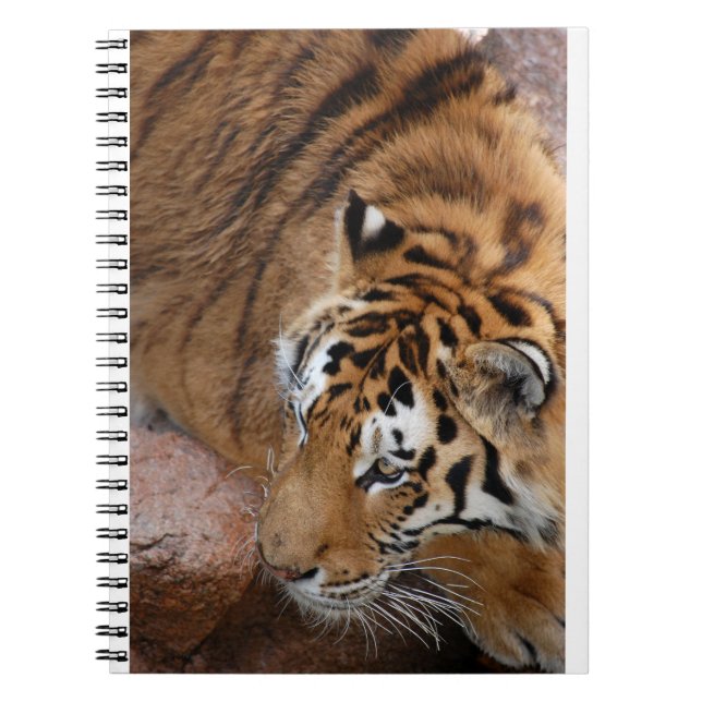 Bengalisch Tiger Notizblock (Vorderseite)