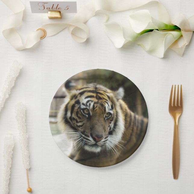 Bengalisch Tiger Pappteller (Hochzeit)