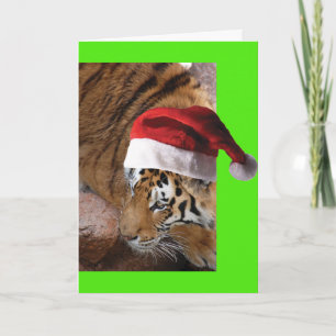Bengalisch Tiger Santa Claus Karte