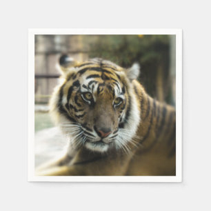 Bengalisch Tiger Serviette