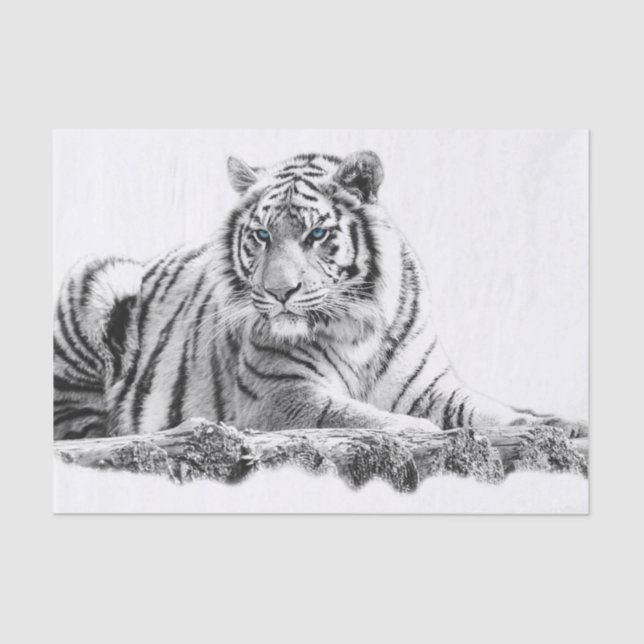 Bengalisch White Tiger Seidenpapier (Vorderseite)