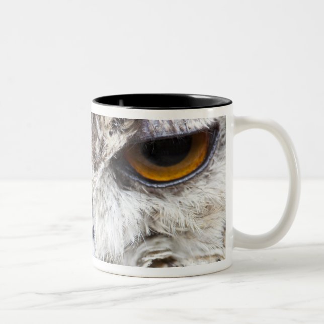 Bengalische Adler-Eule Zweifarbige Tasse (Rechts)