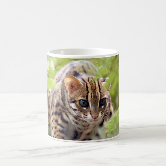 Bengalische Katze 004 Kaffeetasse (Mittel)