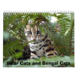 Bengalische Katze 022, Bärn-Katzen und bengalisch Kalender