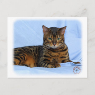 Bengalische Katze 9W052D-023 Postkarte