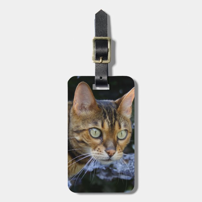 Bengalische Katze Gepäckanhänger (Vorderseite vertikal)