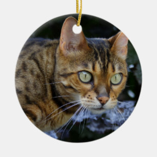 Bengalische Katze Keramikornament