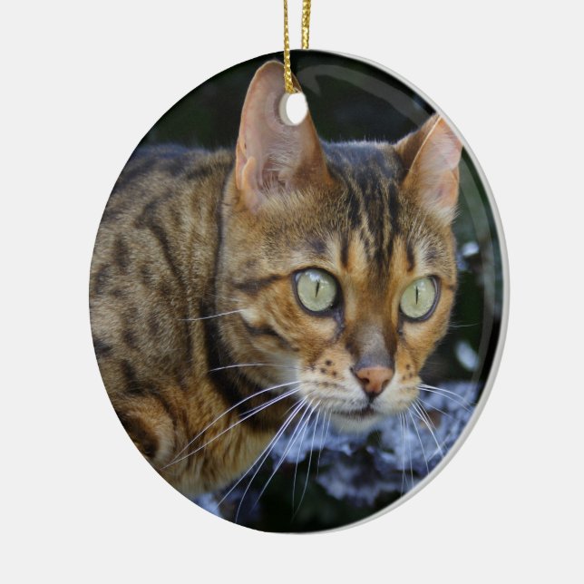 Bengalische Katze Keramikornament (Links)