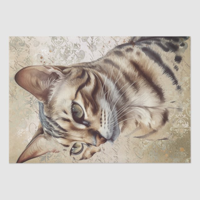Bengalische Katze Seidenpapier (Vorderseite)