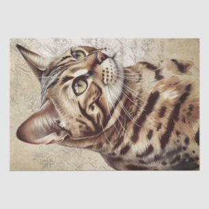 Bengalische Katze Seidenpapier