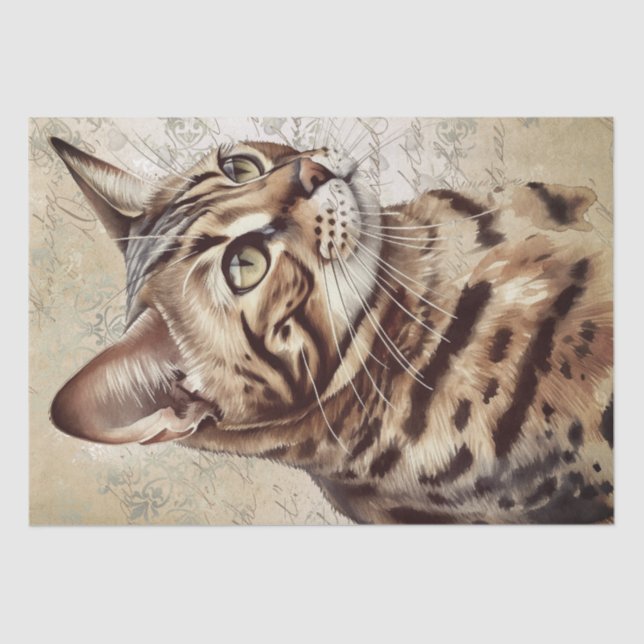Bengalische Katze Seidenpapier (Vorderseite)