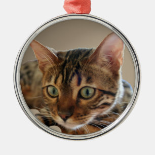 Bengalische Katze Silbernes Ornament