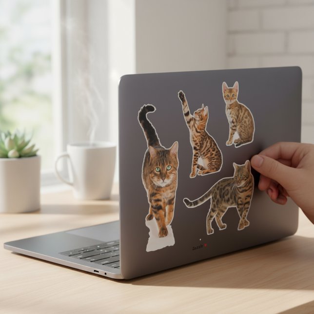 Bengalische Katzenaufkleber Aufkleber (Bengal Cat Stickers)