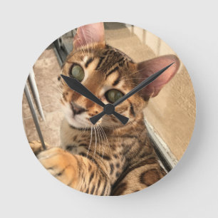 Bengalische Katzenuhr Runde Wanduhr