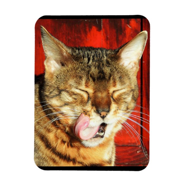 Bengalische Liebe Foto Magnet (Vertikal)
