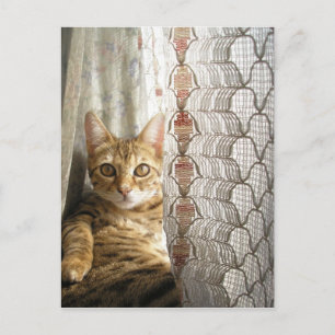 Bengalische Postkarte
