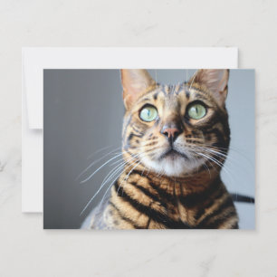 Bengalische Postkarte