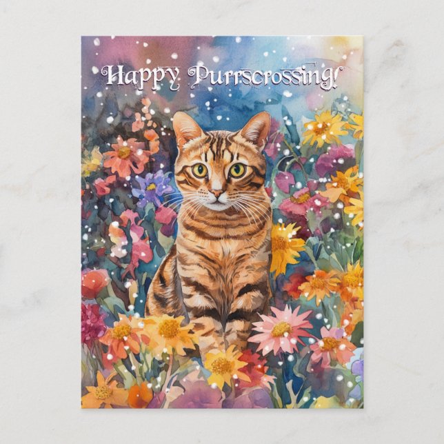 Bengalische Postübergabe - Postkarte (Vorderseite)