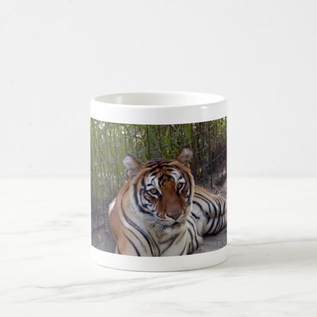 Bengalische Tasse des Tiger-003 (Mittel)