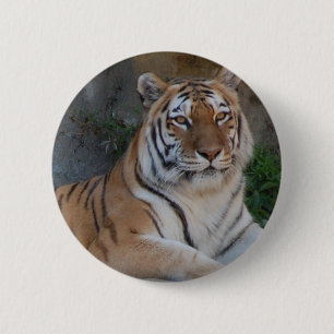 Bengalische Tiger Button