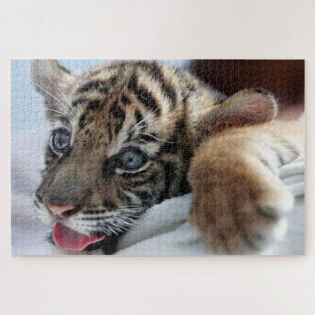 Bengalische Tiger-Kuh auf einem Schneehügel beobac Puzzle (Horizontal)