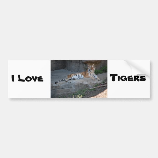 Bengalische Tiger-Liebe Autoaufkleber (Vorne)