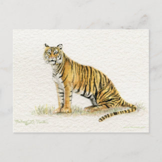 Bengalische Tiger-Postkarte Postkarte