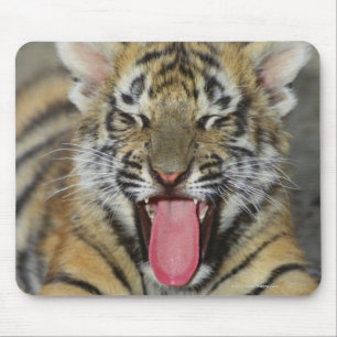 Bengalischer gähnender Tiger Mousepad