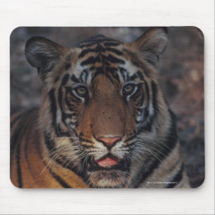 Bengalischer Tiger CUB Mousepad