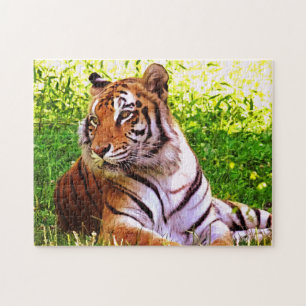 Bengalischer Tiger im Graspuzzle Puzzle
