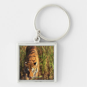 Bengalischer Tiger in den Feuchtgebieten Schlüsselanhänger