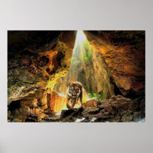 Bengalischer Tiger in der Höhle Poster