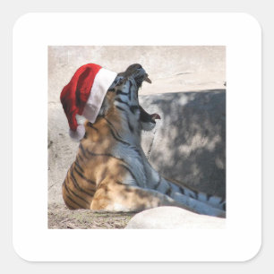 Bengalischer Tiger mit einer Weihnachtsmannmütze z Quadratischer Aufkleber
