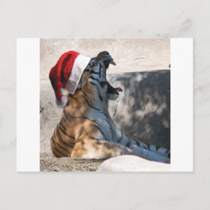 Bengalischer Tiger mit Weihnachtsmannmütze Feiertagspostkarte