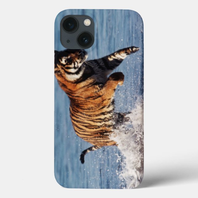 Bengalischer Tiger (Panthera der Tigris) Case-Mate iPhone Hülle (Rückseite)