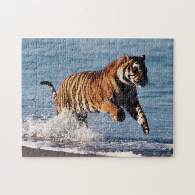 Bengalischer Tiger (Panthera Tigris) Puzzle (Horizontal)