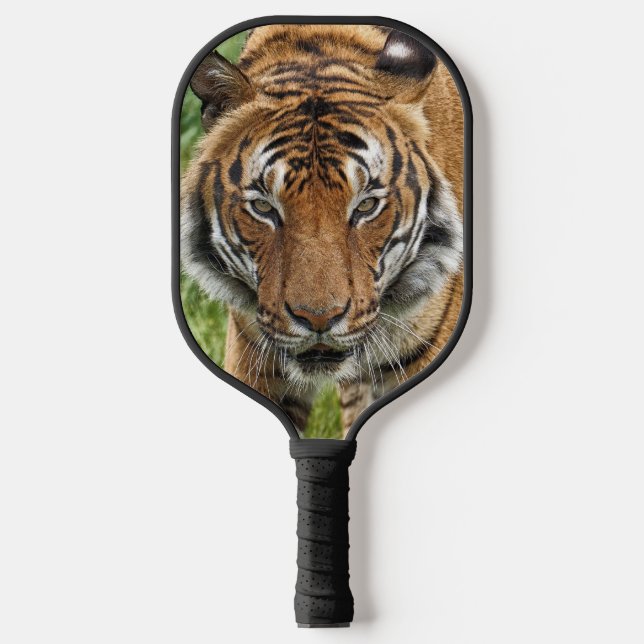 BENGALISCHER TIGER PICKLEBALL SCHLÄGER (Vorderseite)