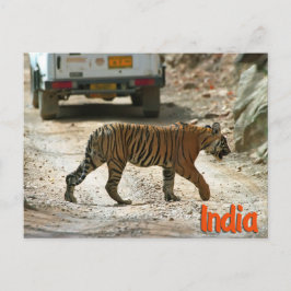 Bengalischer Tiger Postkarte