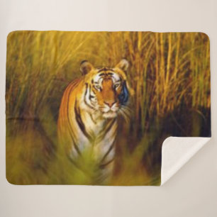 BENGALISCHER TIGER SHERPADECKE