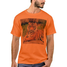 Bengalischer Tiger