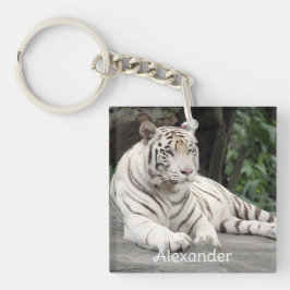 Bengalischer weißer Tiger auf dem Felsen Schlüsselanhänger